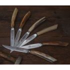 6 noży kuchennych Artisan z rękojeścią z rogu wołowego Made in Italy - Marine Viadurini
