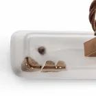 Aplikacja dwa reflektory Amelia Ferroluce rzemiosła Viadurini