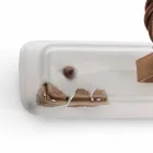 Aplikacja dwa reflektory Amelia Ferroluce rzemiosła Viadurini