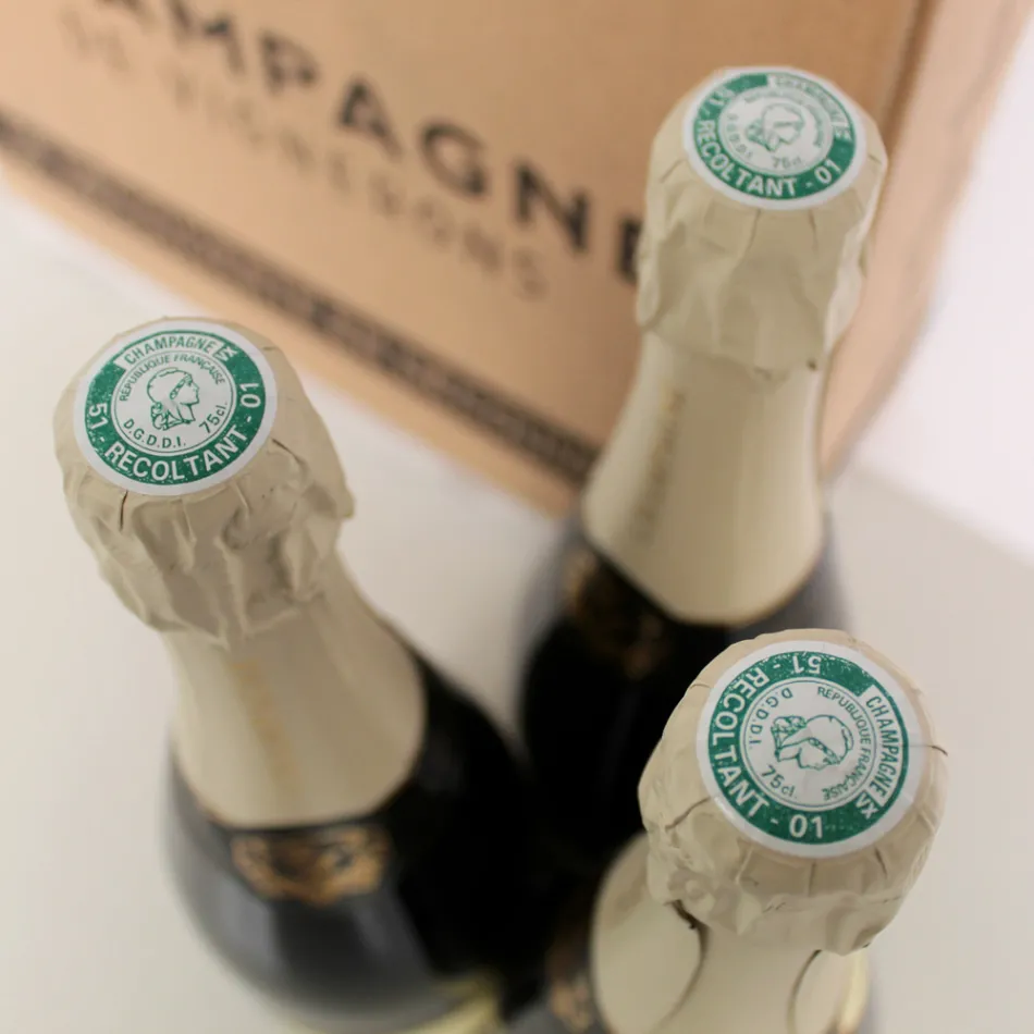 Champagne Cuvee wyłącznie dla pakietu 3 butelek Viadurini „Champagne de Vignerons” Viadurini