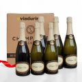 Champagne Cuvee wyłącznie dla Viadurini, opakowanie 6 butelek „Champagne de Vignerons”