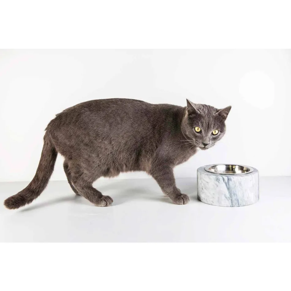 Miska dla psów i kotów w białym marmurze z Carrary Made in Italy - Ciotta Viadurini