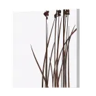 Skład 4 paneli z hortensjami, czosnkiem i thypha Made in Italy - obliczenie Viadurini