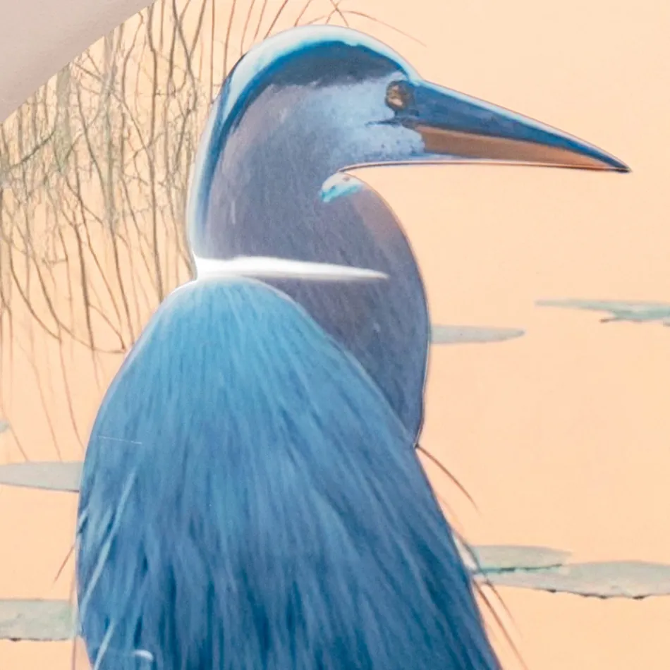 Kompozycja drewnianych obrazów z nadrukiem ptaków Made in Italy - Belize Viadurini