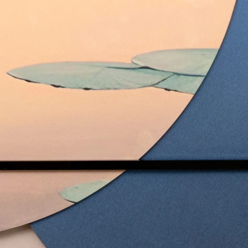 Kompozycja drewnianych obrazów z nadrukiem ptaków Made in Italy - Belize Viadurini