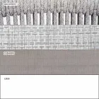 Dwumiejscowa sofa tapicerowana na zewnątrz, tapicerowana - Smart by Varaschin Viadurini