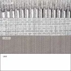 Dwumiejscowa sofa tapicerowana na zewnątrz, tapicerowana - Smart by Varaschin Viadurini