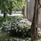 Ogrodowa lampa podłogowa aluminiowa biała konstrukcja z liściem lilii wodnej - Cipriam Viadurini