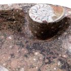 Marmurowa umywalka nablatowa z skamielinami - Burgeo Viadurini