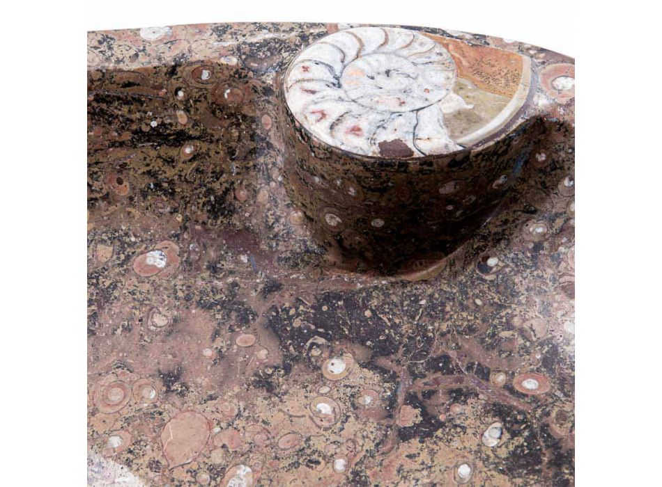 Marmurowa umywalka nablatowa z skamielinami - Burgeo Viadurini