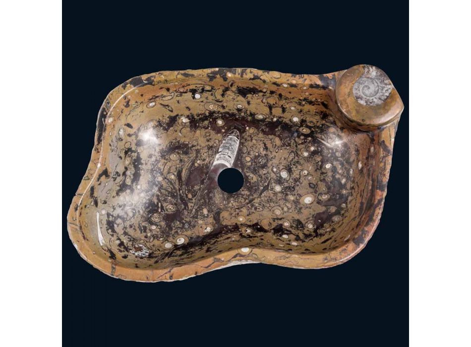 Licznik umywalka z marmuru i skamieniałości Numa, wyjątkowy kawałek Viadurini