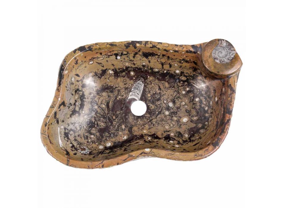 Licznik umywalka z marmuru i skamieniałości Numa, wyjątkowy kawałek Viadurini