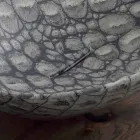 Projekt ceramiczna umywalka nablatowa wykonana we Włoszech Zwierzęta Viadurini