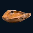 Umywalka z drewna teak blat ręcznie Nemo Viadurini