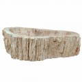 Umywalka jednego kawałka drewna kopalnych Goa