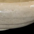 Umywalka nablatowa z marmuru Tito, unikalny egzemplarz Viadurini