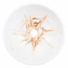 Wsparcie projektu Umywalka ze złotej żywicy - Dogliola Viadurini