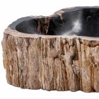 Umywalka stojąca z drewna kopalnego, Neirone Viadurini