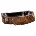 Współczesna ręcznie wykonana umywalka nablatowa wykonana z drewna kopalnego, Negrar