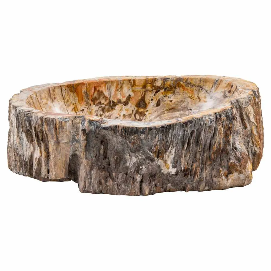 Ręcznie wykonany zlew w drewnie kopalnym, Neviglie Viadurini