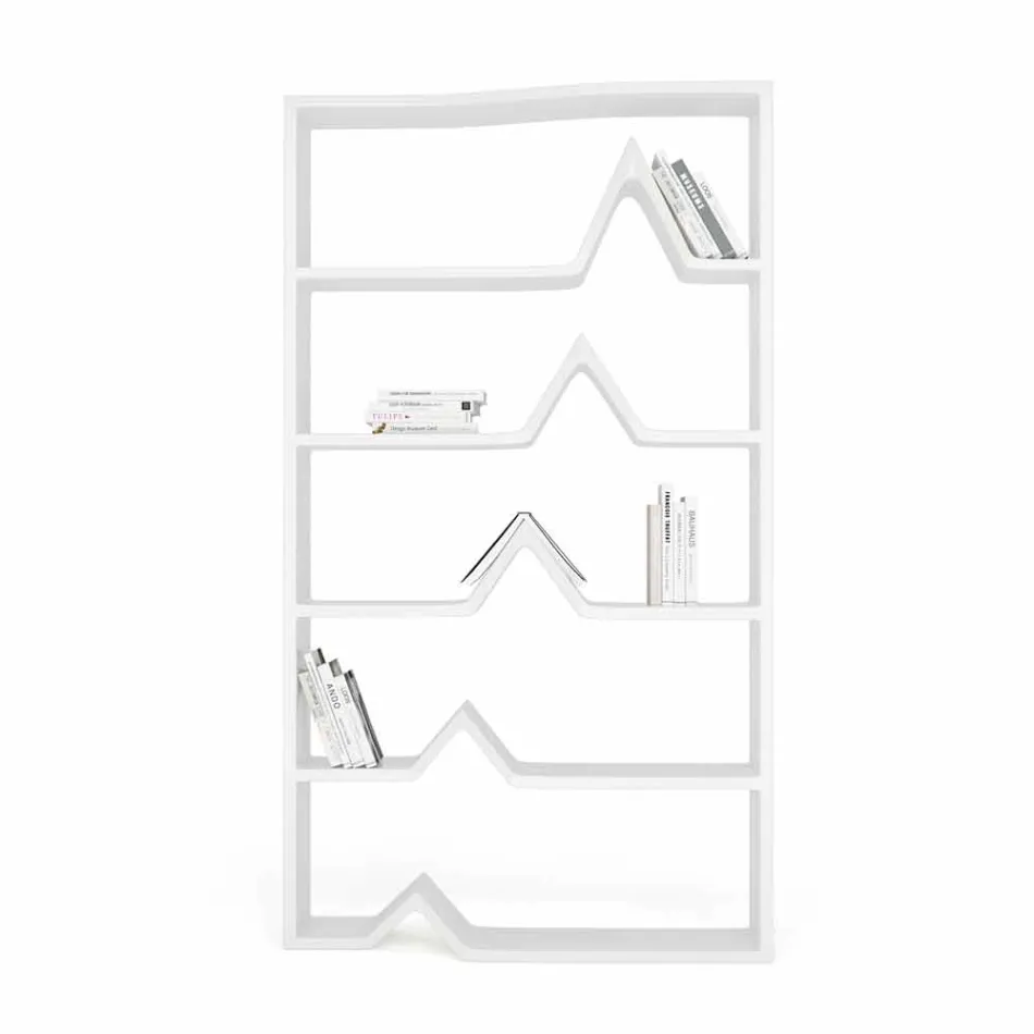 Nowoczesne biblioteki od podstaw Darwin Handcrafted Viadurini