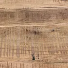 Kredens z drewna akacjowego i stali 2 drzwi i 3 szuflady Homemotion - Aimune Viadurini