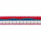 Półtora materaca w luksusowej pamięci H 25 cm Made in Italy - Platinum Viadurini