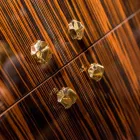 Nowoczesny regał z 4 drzwiami z błyszczącego drewna hebanowego Ada Viadurini