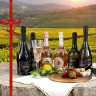 Ekskluzywny konkurs: 6 butelek Prosecco DOC w prezencie Viadurini