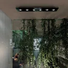 Lampa sufitowa z płaską płytą szklaną z obniżonymi oprawkami - Kora Viadurini