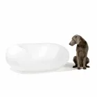 Kolorowy okrągły fotel Slide Chubby nowoczesny design wykonany we Włoszech Viadurini