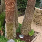 Okrągły Reflektor z LED Outdoor ze Stali Nierdzewnej - Dakota Viadurini