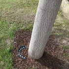 Zewnętrzny reflektor LED 9W w wykończeniu aluminiowym matowo-czarnym — Tudor Viadurini