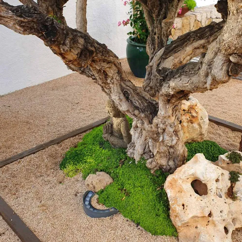 Zewnętrzny reflektor LED 9W w wykończeniu aluminiowym matowo-czarnym — Tudor Viadurini