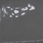 Rozeta ceramiczna do kompozycji lamp Battersea 975ST - Toscot Viadurini