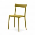 Krzesło do ustawiania w stos z polipropylenu Wyprodukowane we Włoszech 4 sztuk