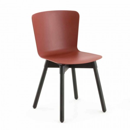 Krzesło z polipropylenu z bejcowaną podstawą dębową Made in Italy, 2 sztuki - Scandio Viadurini