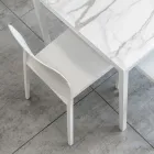 Zestaw 4 krzeseł do użytku zewnętrznego i wewnętrznego z polipropylenu w różnych kolorach - zbudowany Viadurini