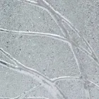 Prostokątne lustro ścienne wykonane z drewna jodłowego produkowanego we Włoszech Achille Viadurini