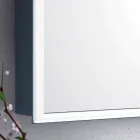 Nowoczesne 2-drzwiowe lustro ścienne, oświetlenie LED, Adele Viadurini