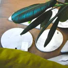 Okrągła deska do krojenia z białego marmuru Carrara Made in Italy - Masza Viadurini