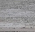 Dywan designerski w kolorze wiskozy i akrylu w kolorze szarym z designem - prezydent Viadurini