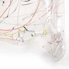 Nowożytny multicolor pleksiglawy stolik do kawy robić w Włochy, Azja Viadurini