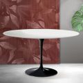 Stolik kawowy Saarinen Tulip Oval H 41 cm w kolorze matowej bieli Florim Ceramic - Scarlet
