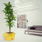 Uchwyt stołowy Czasopisma Fragile Mabele Viadurini