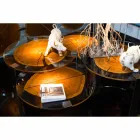 Stolik kawowy z drewna i stali z metalowymi nogami Made in Italy - Damaszek Viadurini