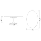 Stolik kawowy tulipan Eero Saarinen H 41 z owalnym blatem z marmuru Carrara Statuarietto Viadurini