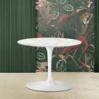Tulip Saarinen H 39 Owalny Stolik Kawowy z Marmurowym Blatem Carrara Made in Italy - Scarlet Viadurini
