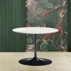Tulip Saarinen H 39 Owalny Stolik Kawowy z Marmurowym Blatem Carrara Made in Italy - Scarlet Viadurini