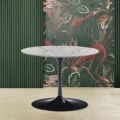 Tulip Saarinen H 39 Owalny stolik kawowy z blatem z marmuru Carrara Statuarietto - szkarłatny